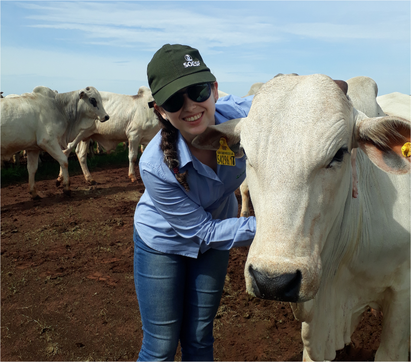 Manejo racional de bovinos: o bem-estar do gado é mais importante do que muitos imaginam